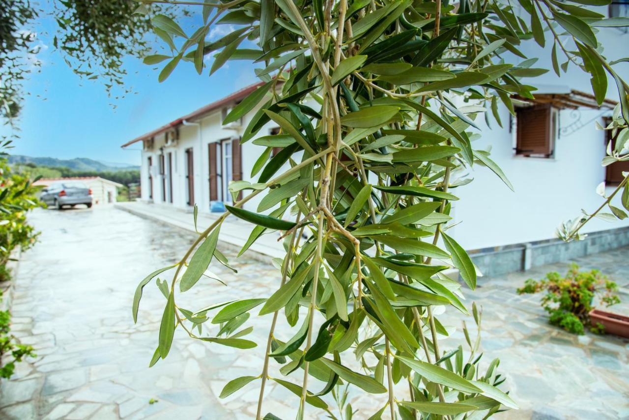 Eleonas Holiday Home Apartment Agios Stefanos Avliotes  Zewnętrze zdjęcie